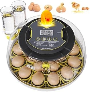 IBKINXX Incubadora para Incubar Huevos - Capacidad de 18 Huevos, Volteo Automático de Huevos Recién Mejorado 2026, Control de Temperatura y Humedad, Visión 360° para Huevos de Gallina, Pato y Codorniz (Negro)