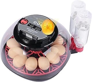 Incubadora de 12 Huevos para Incubar, Incubadora de Huevos de Gallina con Volteo Automático de Huevos y Control de Temperatura y Humedad, Tapa de Visión Clara 360° para Hogar, Granja, Aula, Incubar Pollos, Patos, Codornices, Gansos