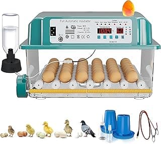 CoInceptus Incubadora de 36 Huevos para Incubar, Incubadora de Huevos con 4 Modos de Incubación Automática, Volteo Automático de Huevos, Monitoreo de Humedad, Ovoscopio Incorporado