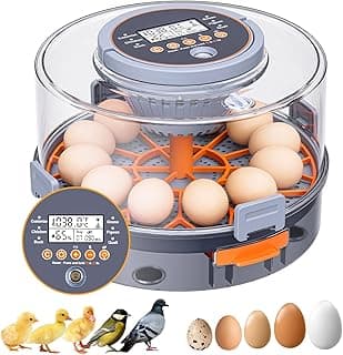 Incubadora de Huevos, Incubadora para Incubar Huevos con Ovoscopio, Volteo Automático de Huevos, Control de Temperatura y Humedad para Pollos, Patos, Codornices, Gansos, Diseño con Asa de Transporte, Visión 360°