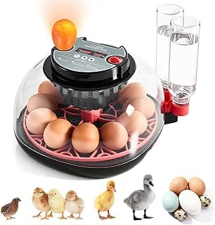 Incubadora para Incubar Huevos - Capacidad de 12 Huevos, Incubadora de Huevos con Volteo Automático de Huevos y Control de Temperatura, Incubadora para Pollos, Patos, Gansos, Codornices, Visión Completa 360°, Uso en Hogar, Granja, Aula