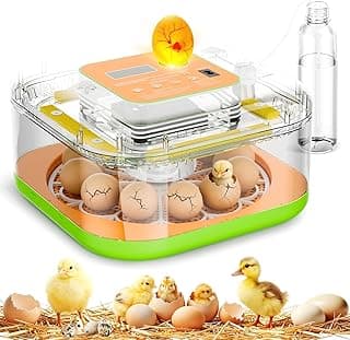 Incubadora de 12 Huevos para Incubar, Control de Temperatura y Humedad, Volteo Automático y Ajustable de Huevos, Día de Incubación, Ovoscopio Incorporado, para Pollos, Patos, Pavos, Aves