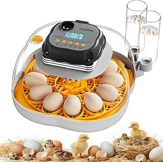 Incubadora de Huevos de Gallina y Codorniz de 12 Huevos, Dos Bandejas, Volteo Automático con Parada Automática, Día y Período de Incubación, Relleno Automático, Ovoscopio, Ventilación, Vista Clara 360°
