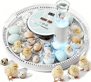 MeeF Incubadora de Huevos para Incubar 28 Huevos, Volteo Automático, Humidificador Atomizador Independiente, con Bandejas para Huevos de Pato y Ganso (Verde)