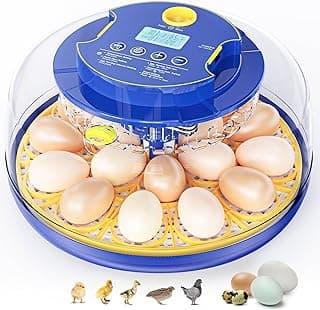 Incubadora de 18 Huevos de Gallina para Incubar: Incubadora de Huevos con Volteo Automático de Huevos y Control de Humedad - Ovoscopio - Pantalla de Temperatura y Humedad - Para Incubar Codorniz, Gallina, Pato y Ganso